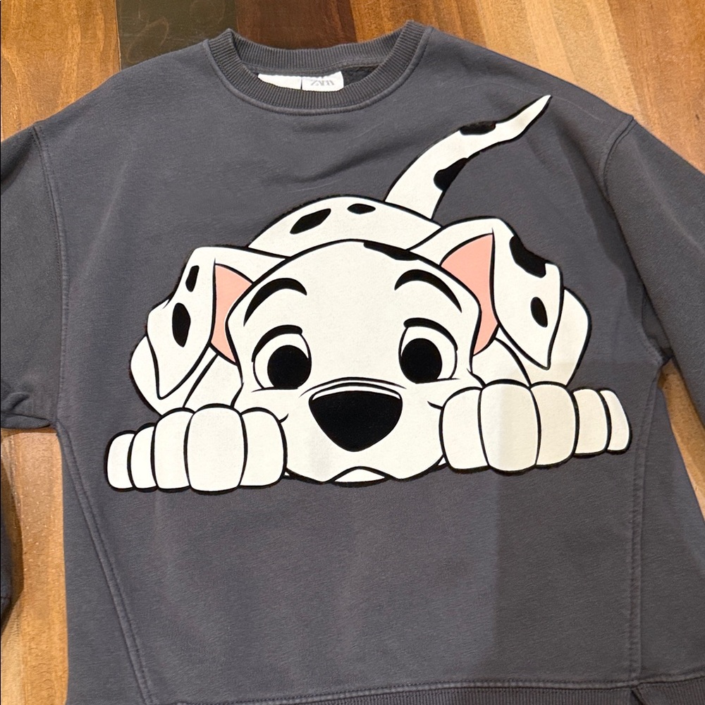 Zara Charcoal Sweatshirt with Dalmatian Design